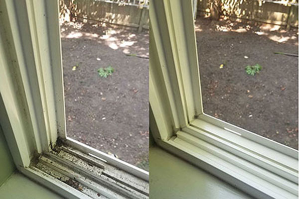 Before and After Clean Window